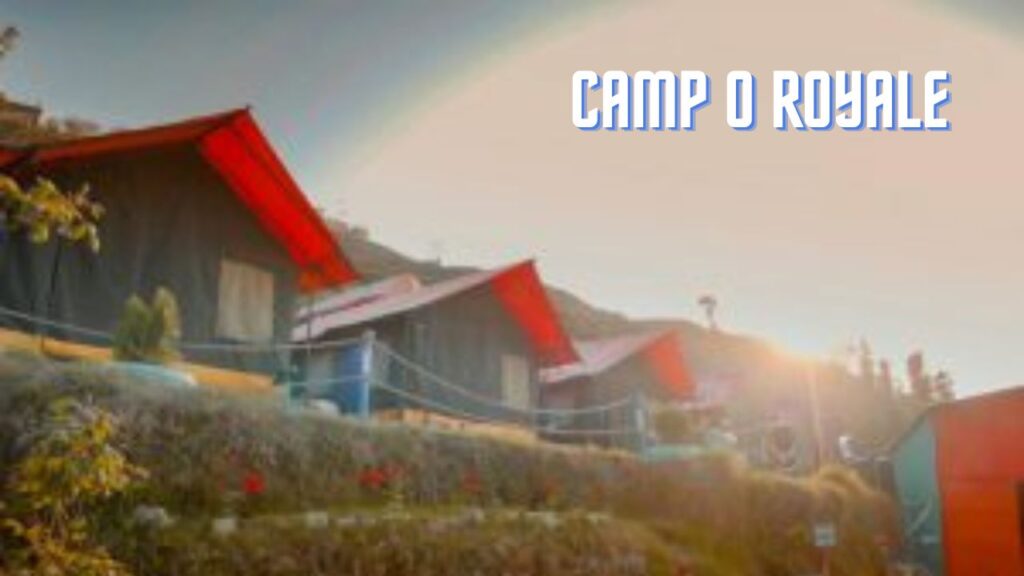 Camp O Royale