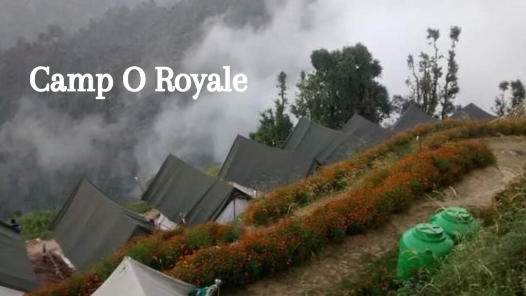 Camping in Dhanaulti - Camp O Royale