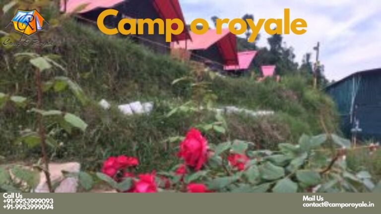 Luxury Cottages & Camps in Dhanaulti