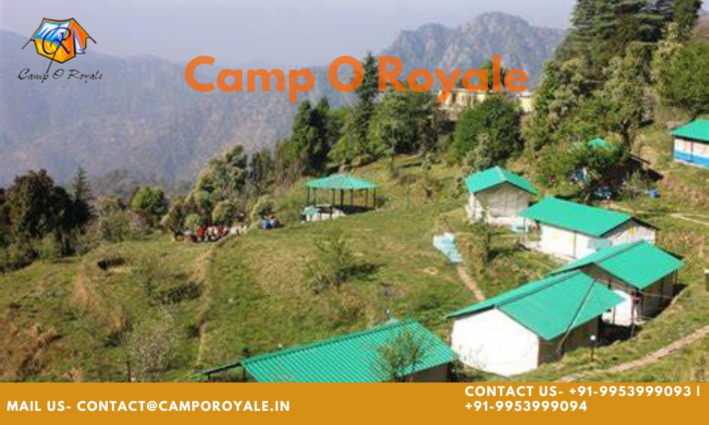 Perfect Campsite in Dhanaulti