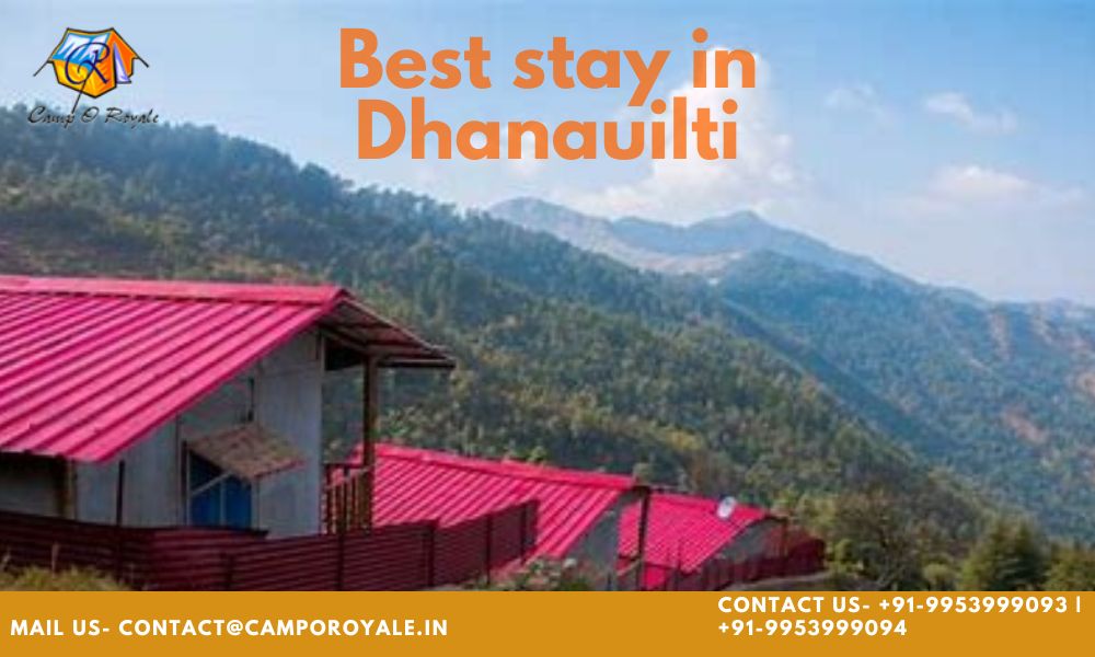 Perfect Campsite in Dhanaulti
