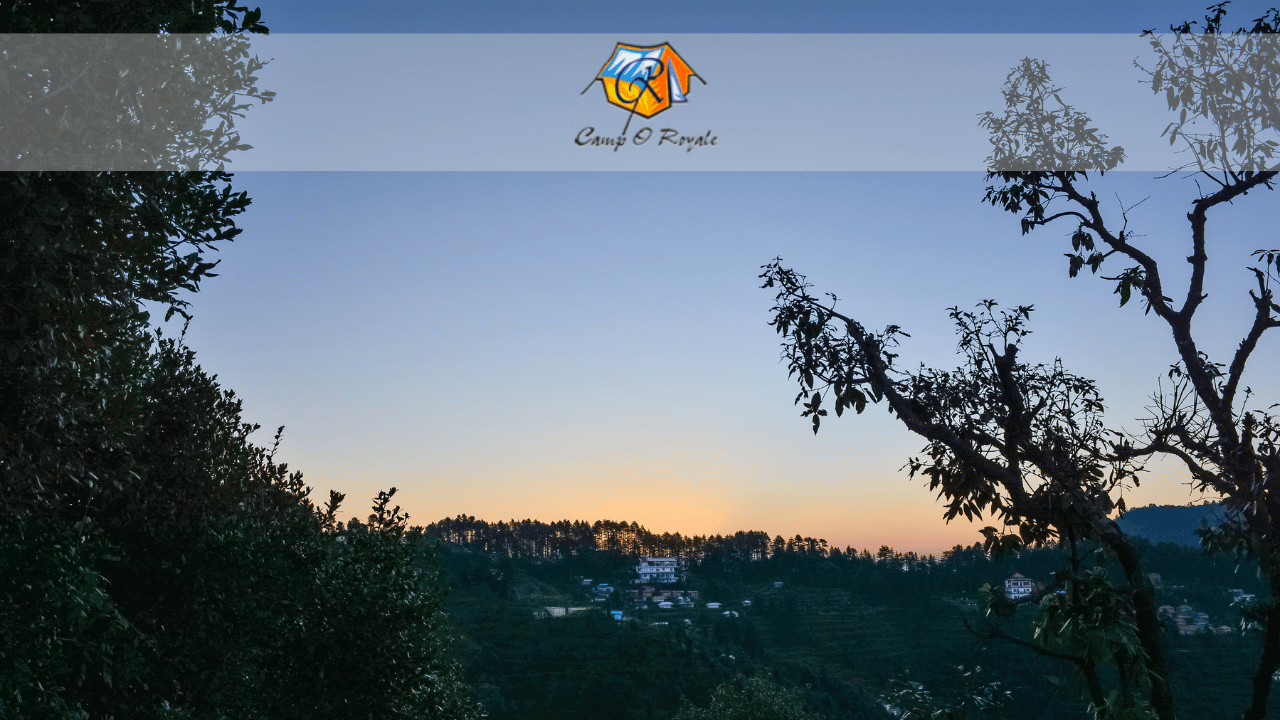 stay in dhanaulti
