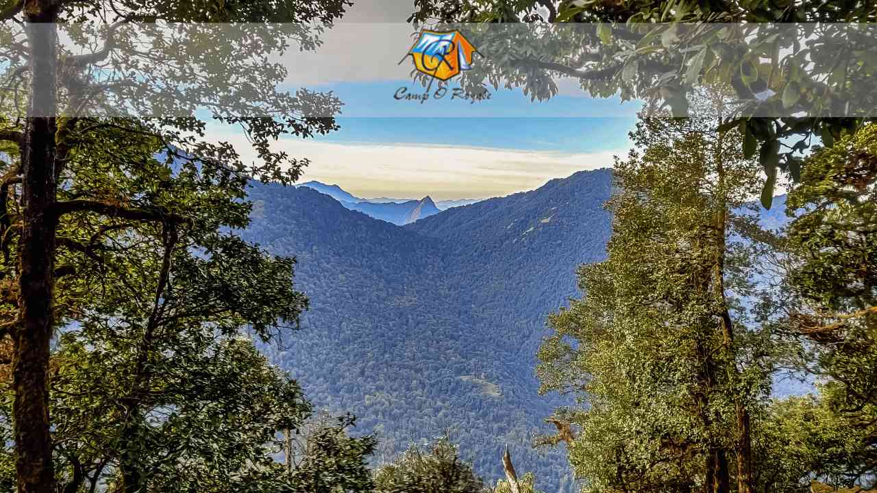 stay in Dhanaulti