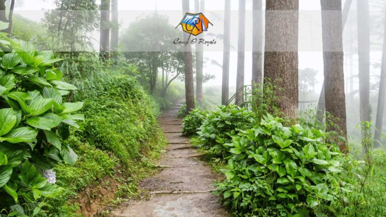 Best hotels in Dhanaulti