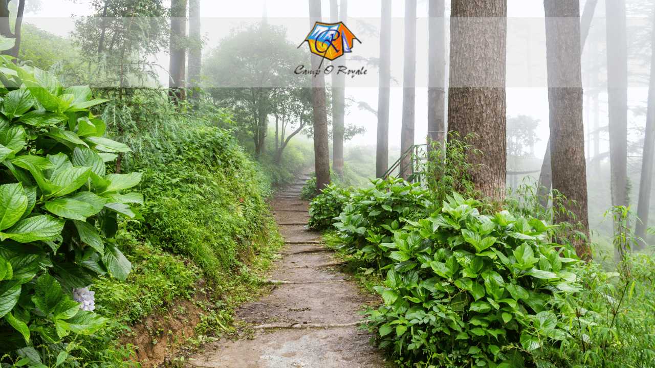 Best hotels in Dhanaulti
